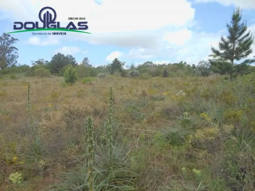 Foto 5 de Sala Comercial à venda, 3640m2 em Viamao - RS