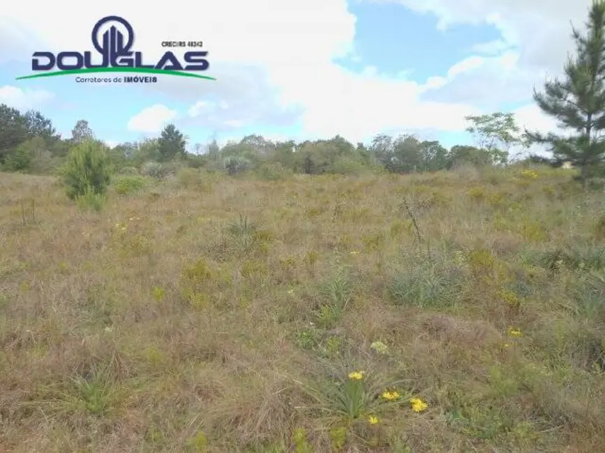 Foto 3 de Sala Comercial à venda, 3640m2 em Viamao - RS