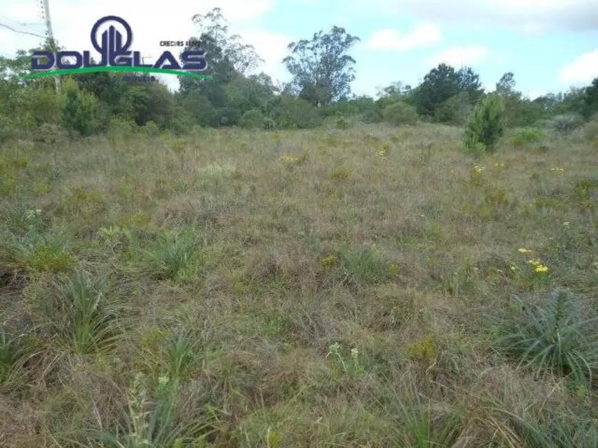 Foto 4 de Sala Comercial à venda, 3640m2 em Viamao - RS