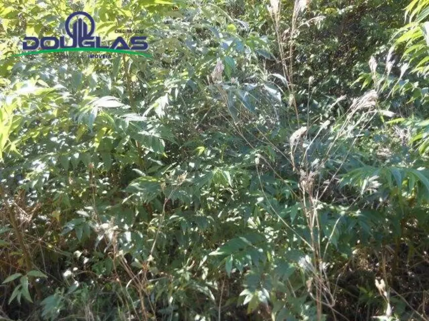 Terreno / Lote à venda, 600m2 em Viamao - RS - imagem 6 Foto 6 de Terreno / Lote à venda, 600m2 em Viamao - RS