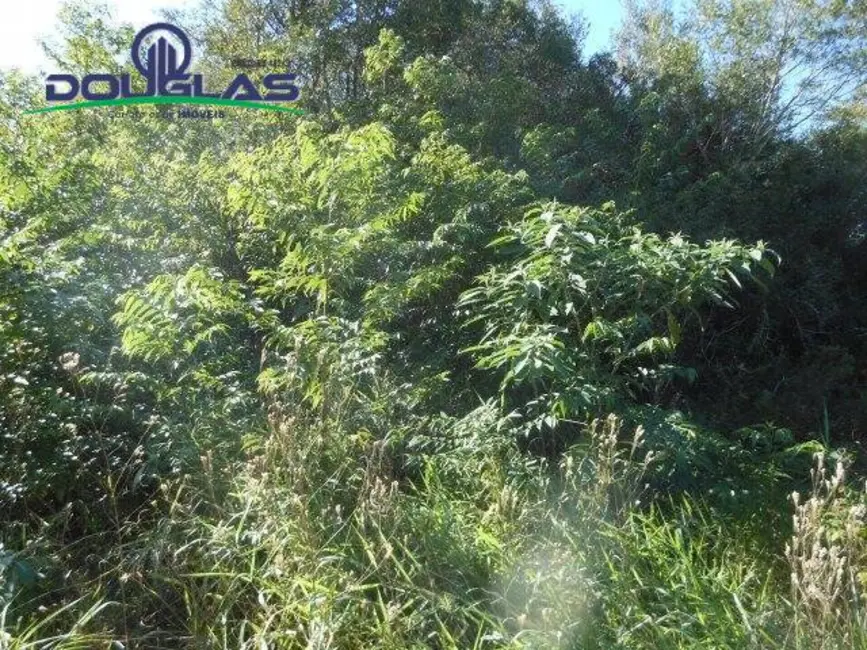 Terreno / Lote à venda, 600m2 em Viamao - RS - imagem 8 Foto 8 de Terreno / Lote à venda, 600m2 em Viamao - RS