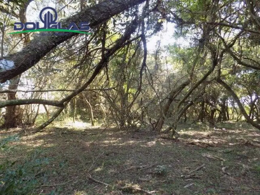 Foto 1 de Chácara à venda, 20000m2 em Viamao - RS