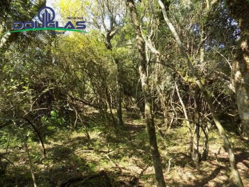 Foto 19 de Chácara à venda, 20000m2 em Viamao - RS