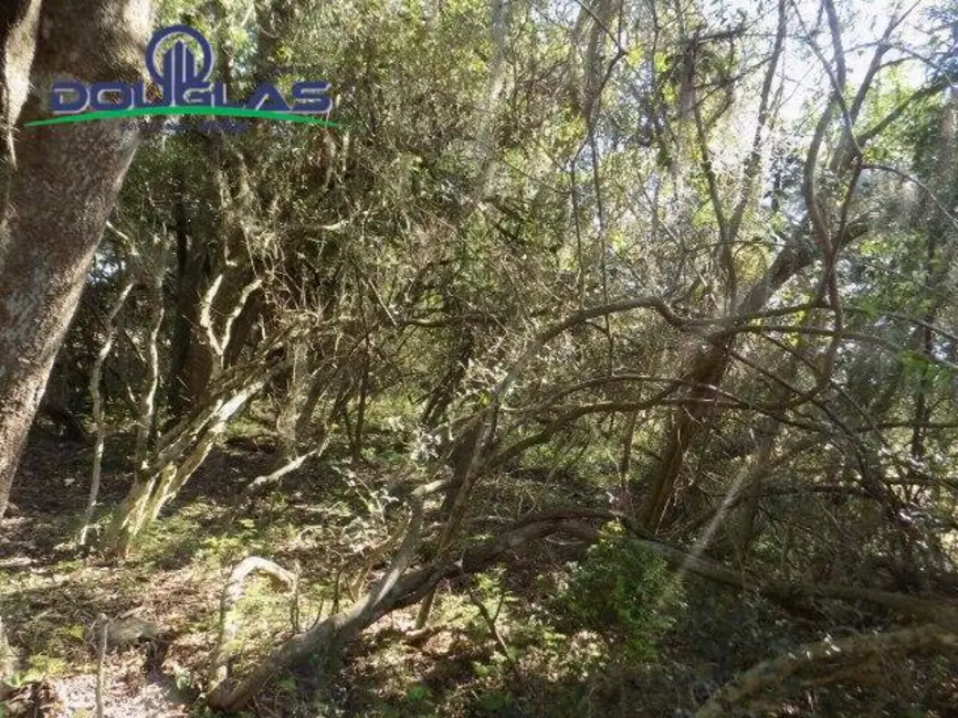 Foto 15 de Chácara à venda, 20000m2 em Viamao - RS