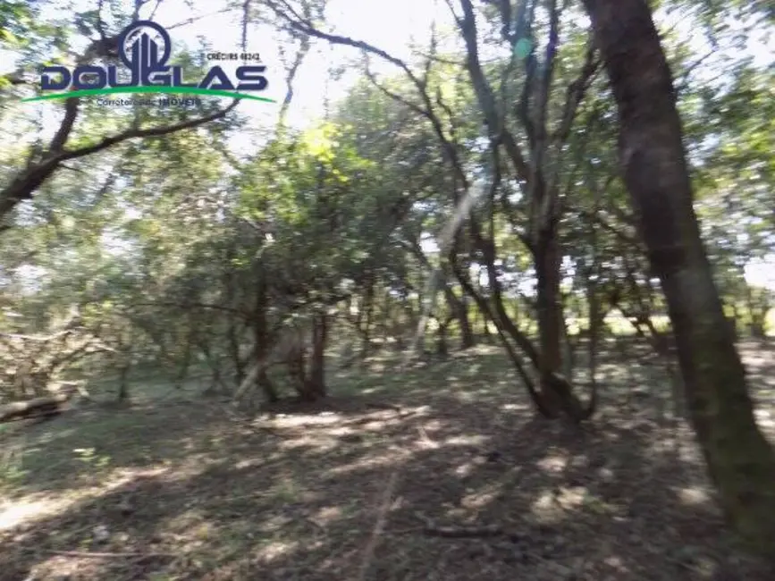 Foto 3 de Chácara à venda, 20000m2 em Viamao - RS