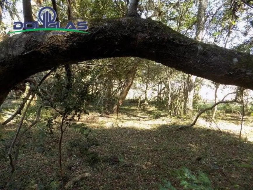 Foto 7 de Chácara à venda, 20000m2 em Viamao - RS