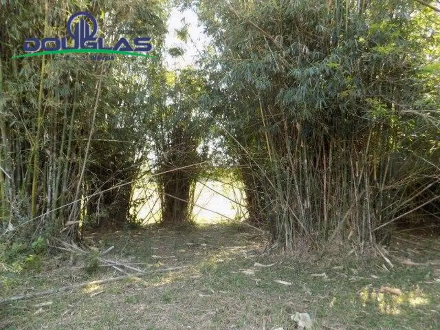 Foto 25 de Chácara à venda, 20000m2 em Viamao - RS