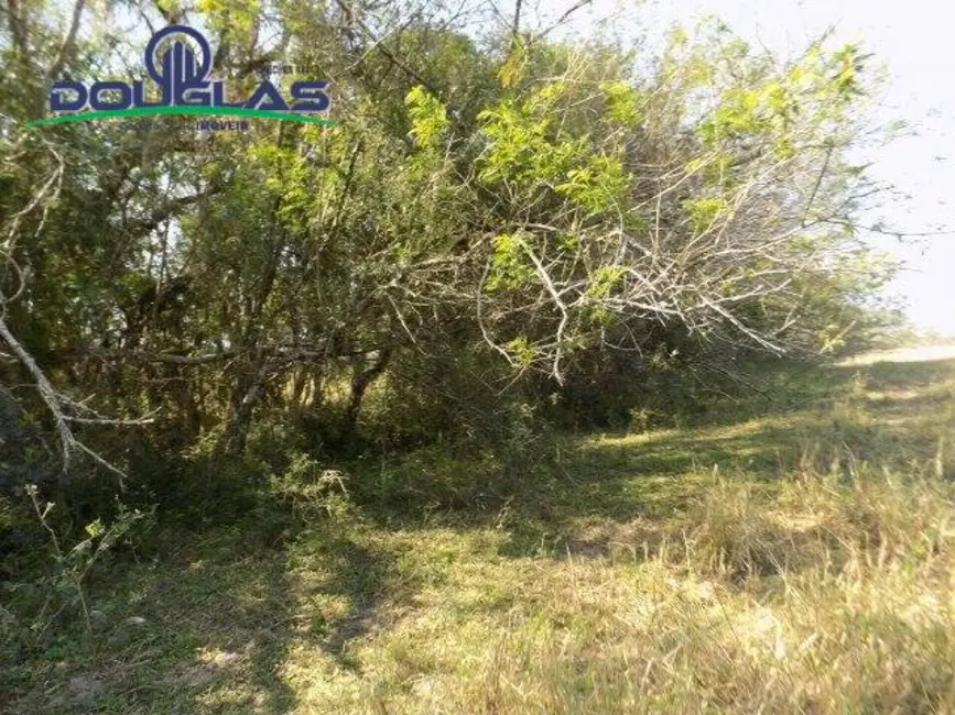 Foto 30 de Chácara à venda, 20000m2 em Viamao - RS