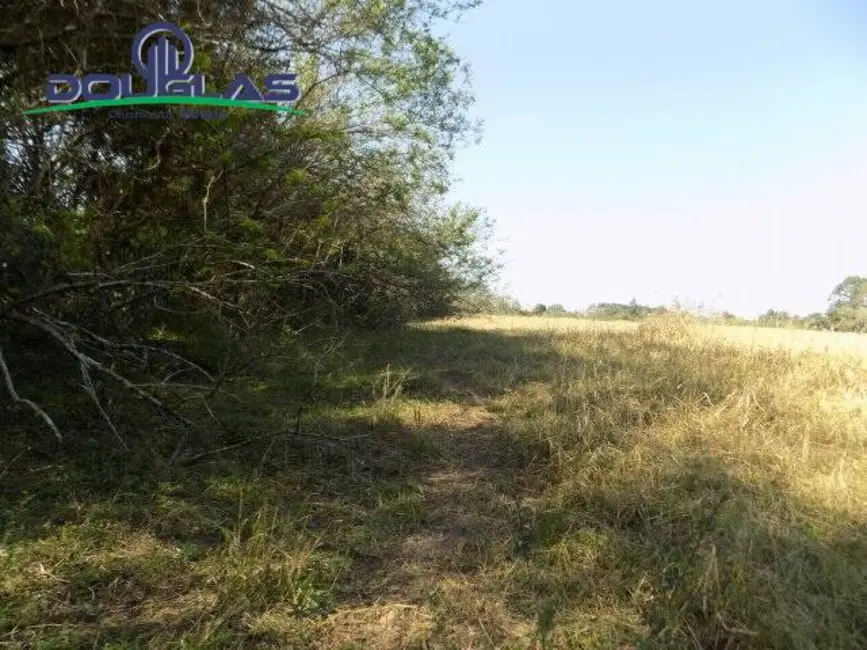 Foto 32 de Chácara à venda, 20000m2 em Viamao - RS