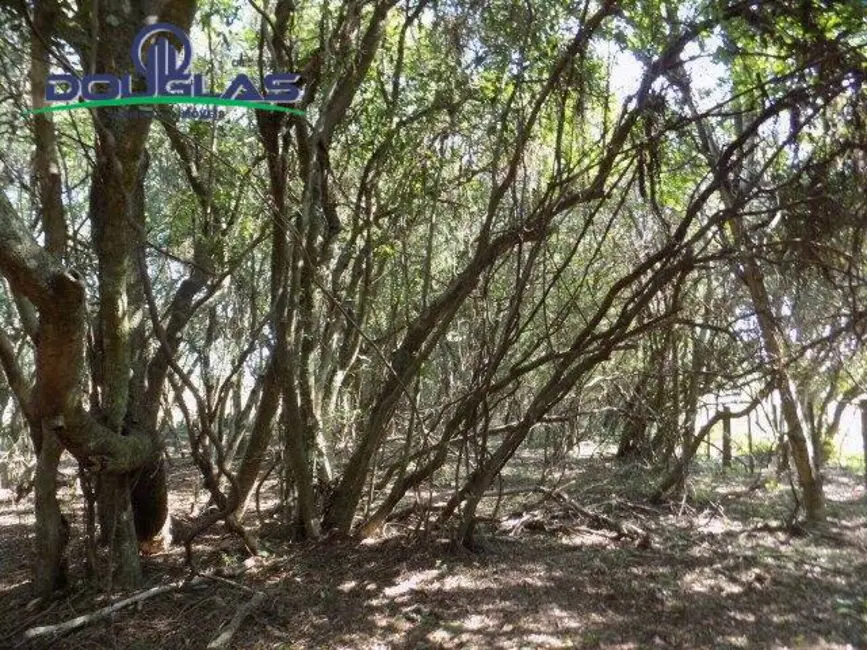 Foto 11 de Chácara à venda, 20000m2 em Viamao - RS