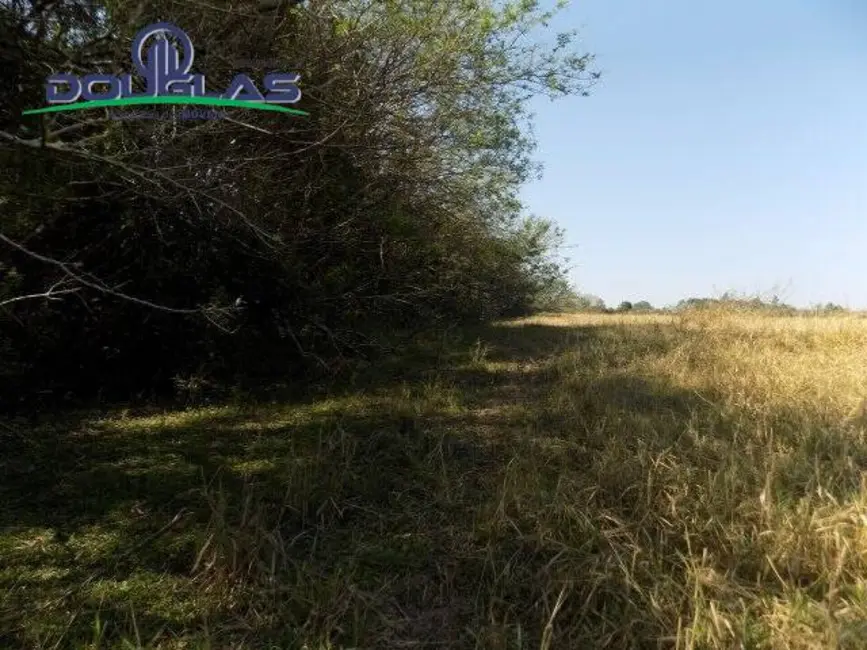 Foto 31 de Chácara à venda, 20000m2 em Viamao - RS