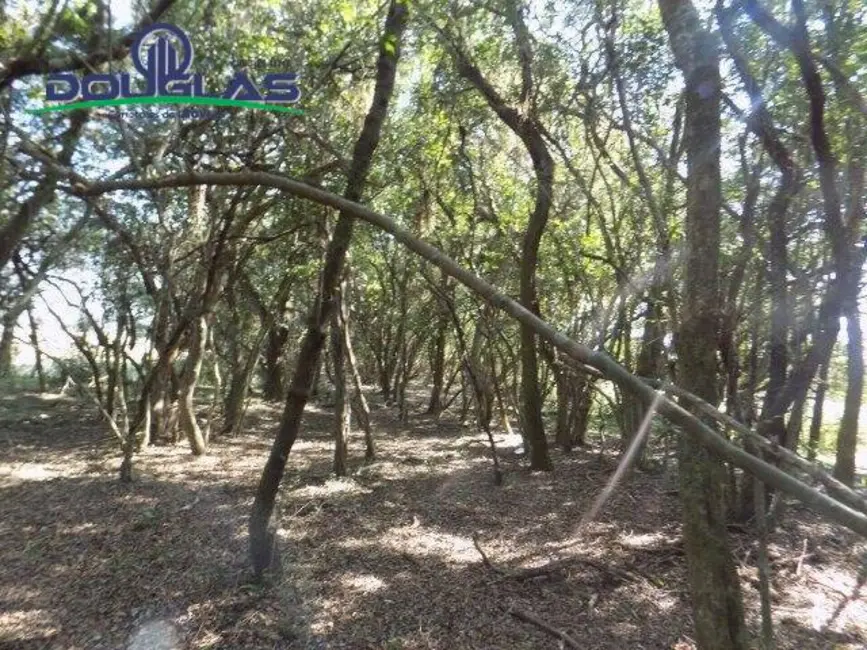 Foto 2 de Chácara à venda, 20000m2 em Viamao - RS