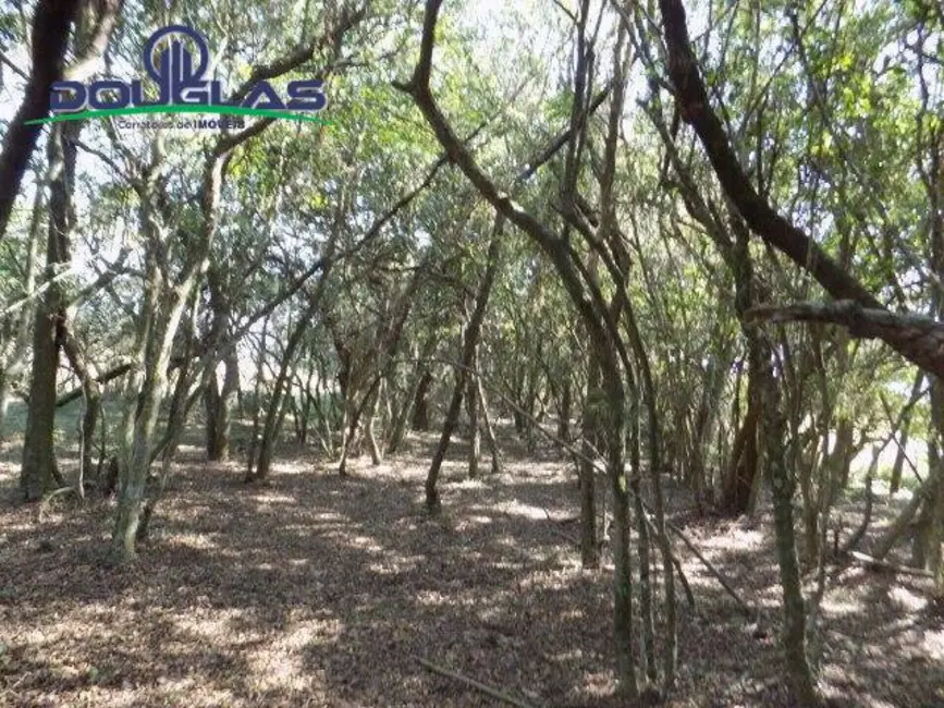 Foto 6 de Chácara à venda, 20000m2 em Viamao - RS