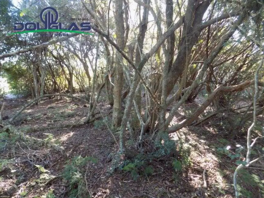 Foto 26 de Chácara à venda, 9m2 em Viamao - RS