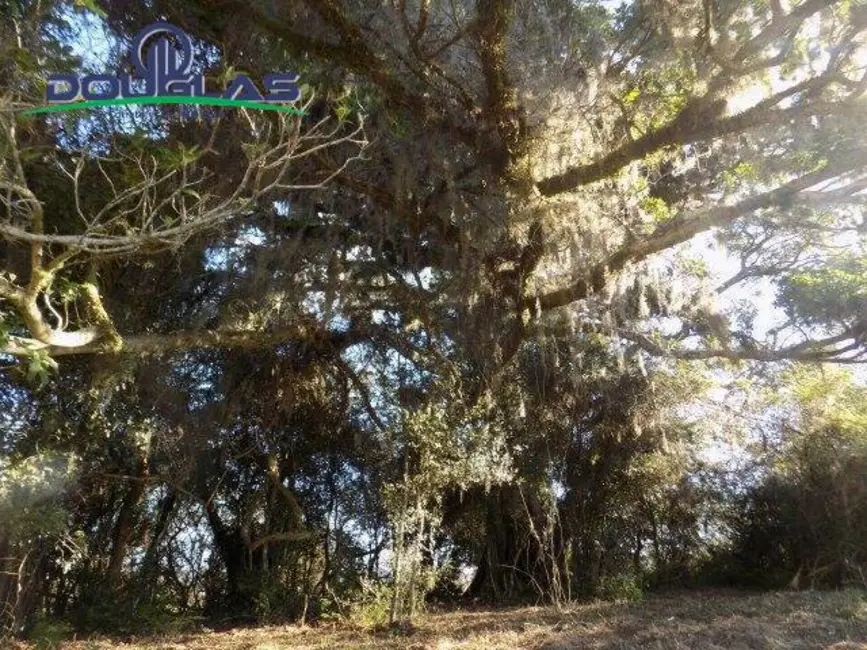 Foto 27 de Chácara à venda, 9m2 em Viamao - RS