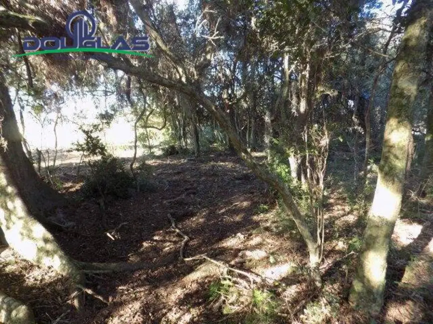 Foto 24 de Chácara à venda, 9m2 em Viamao - RS