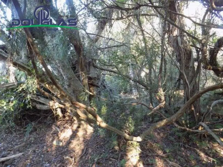 Foto 23 de Chácara à venda, 9m2 em Viamao - RS