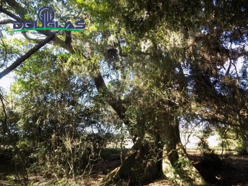 Foto 29 de Chácara à venda, 9m2 em Viamao - RS