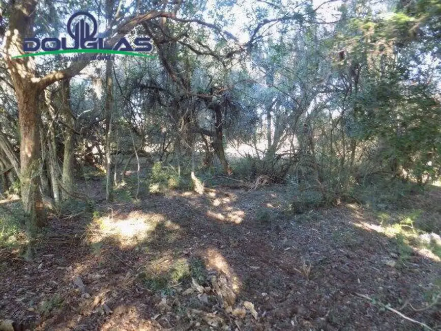 Foto 25 de Chácara à venda, 9m2 em Viamao - RS