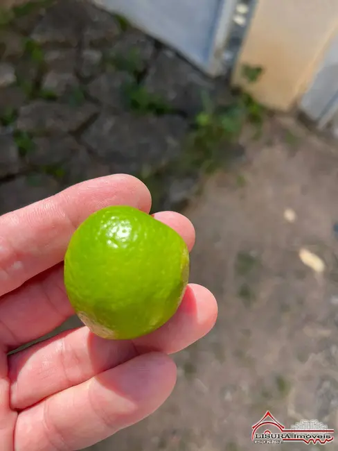 Foto 4 de Terreno / Lote à venda, 175m2 em Residencial Parque dos Sinos, Jacarei - SP