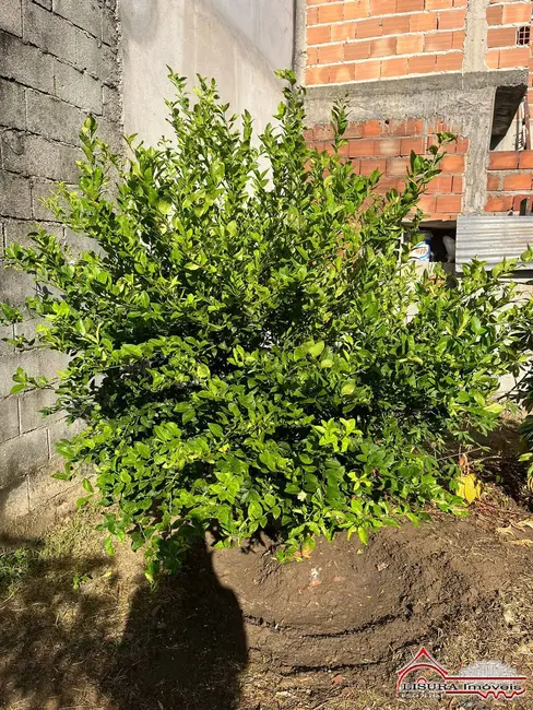 Foto 7 de Terreno / Lote à venda, 175m2 em Residencial Parque dos Sinos, Jacarei - SP