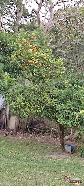 Foto 52 de Chácara à venda, 100m2 em Pinho, Jacarei - SP