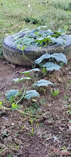 Foto 23 de Chácara à venda, 100m2 em Pinho, Jacarei - SP