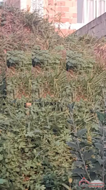 Foto 3 de Terreno / Lote à venda, 150m2 em Vila Nova Aliança, Jacarei - SP