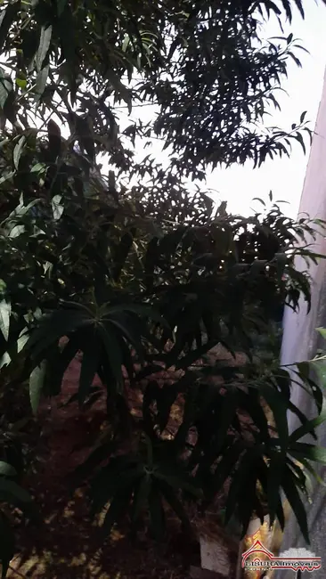 Foto 4 de Terreno / Lote à venda, 140m2 em Residencial Santa Paula, Jacarei - SP