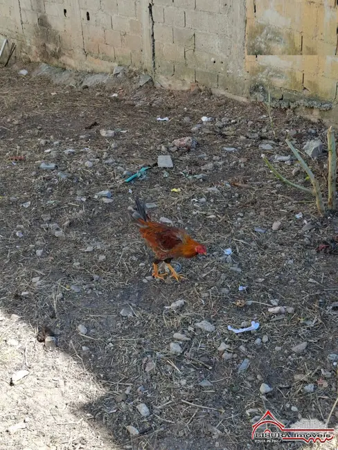 Foto 2 de Terreno / Lote à venda, 145m2 em Sao Jose Dos Campos - SP