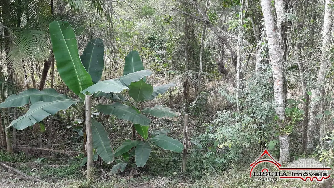 Chácara com 1 quarto à venda, 600m2 em Guararema - SP - imagem 6 Foto 6 de Chácara com 1 quarto à venda, 600m2 em Guararema - SP