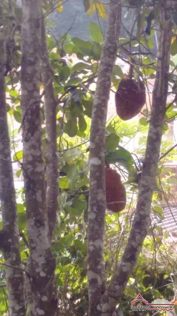 Foto 5 de Terreno / Lote à venda, 2330m2 em Jacarei - SP