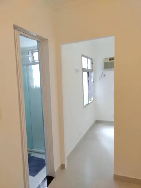 Foto 3 de Apartamento com 1 quarto para alugar, 28m2 em Ponta da Praia, Santos - SP
