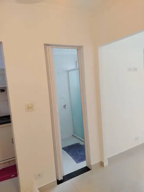 Foto 2 de Apartamento com 1 quarto para alugar, 28m2 em Ponta da Praia, Santos - SP