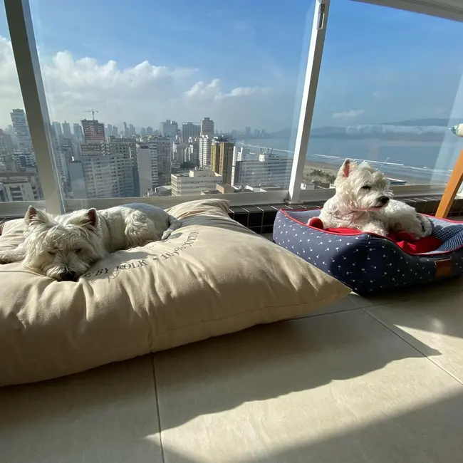 Foto 5 de Apartamento com 2 quartos à venda, 72m2 em Gonzaga, Santos - SP