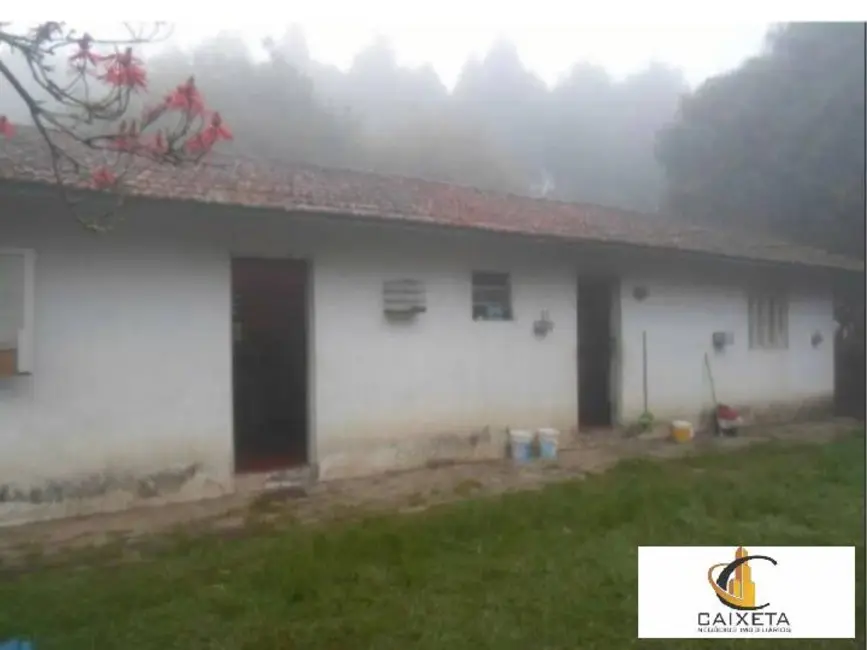 Foto 5 de Chácara com 1 quarto à venda, 40000m2 em Vila Darcy Penteado (Mailasqui), Sao Roque - SP