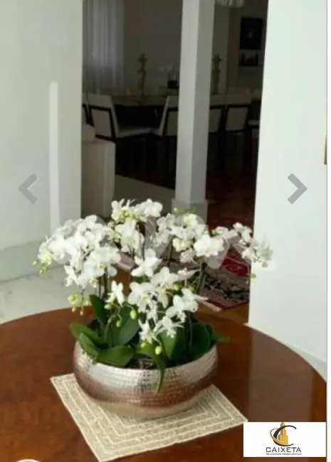 Casa com 4 quartos para alugar, 380m2 em Perdizes, São Paulo - SP - imagem 7 Foto 7 de Casa com 4 quartos para alugar, 380m2 em Perdizes, São Paulo - SP