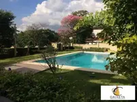 Imagem 3