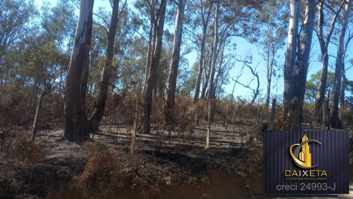 Foto 7 de Sala Comercial à venda, 18529m2 em Caete (Mailasqui), Sao Roque - SP