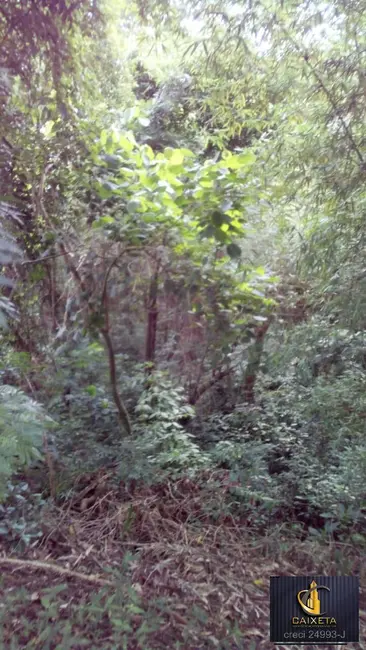 Foto 7 de Terreno / Lote à venda, 2686m2 em Vila Santo Antônio, Sao Roque - SP