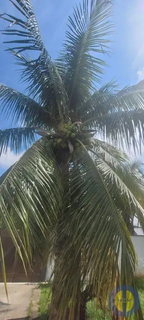 Foto 5 de Casa à venda, 257m2 em Jardim Atlântico Oeste (Itaipuaçu), Marica - RJ