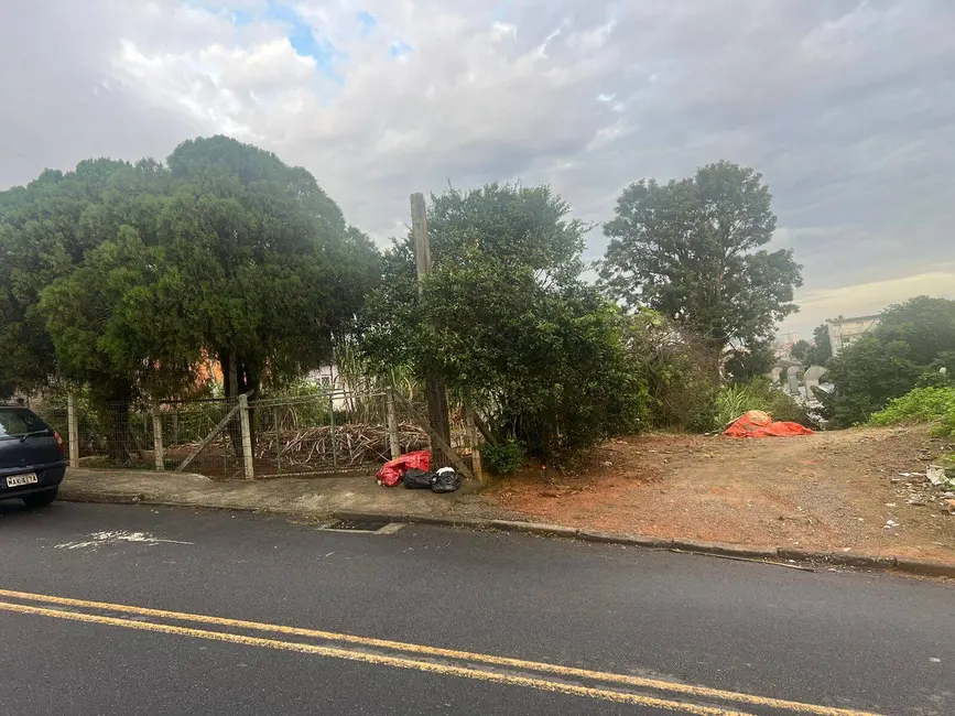 Terreno / Lote à venda, 500m2 em Jardim Atlântico, Florianopolis - SC - imagem 4 Foto 4 de Terreno / Lote à venda, 500m2 em Jardim Atlântico, Florianopolis - SC
