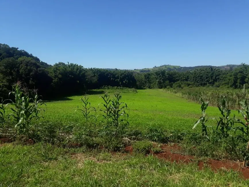 Chácara à venda, 20166m2 em Londrina - PR - imagem 3 Foto 3 de Chácara à venda, 20166m2 em Londrina - PR