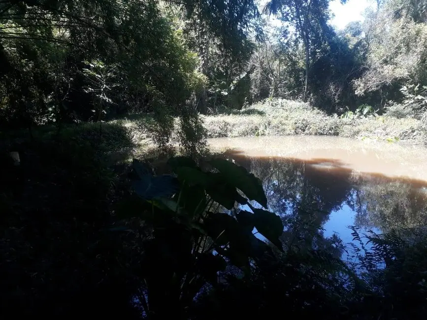 Chácara à venda, 20166m2 em Londrina - PR - imagem 5 Foto 5 de Chácara à venda, 20166m2 em Londrina - PR