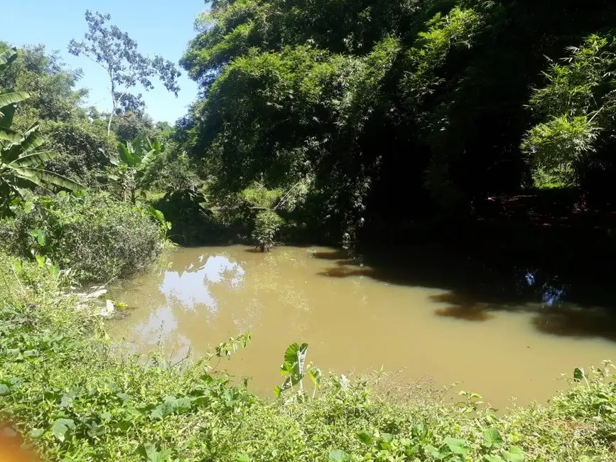 Chácara à venda, 20166m2 em Londrina - PR - imagem 6 Foto 6 de Chácara à venda, 20166m2 em Londrina - PR