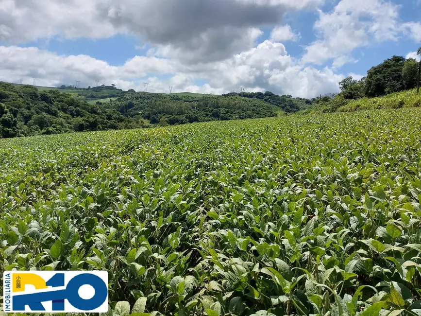 Foto 1 de Sítio / Rancho à venda em Ouro Branco, Londrina, PR