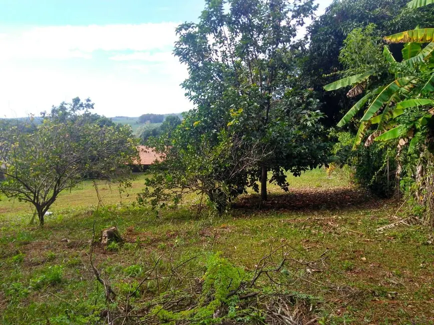 Chácara à venda, 4000m2 em Londrina - PR - imagem 7 Foto 7 de Chácara à venda, 4000m2 em Londrina - PR