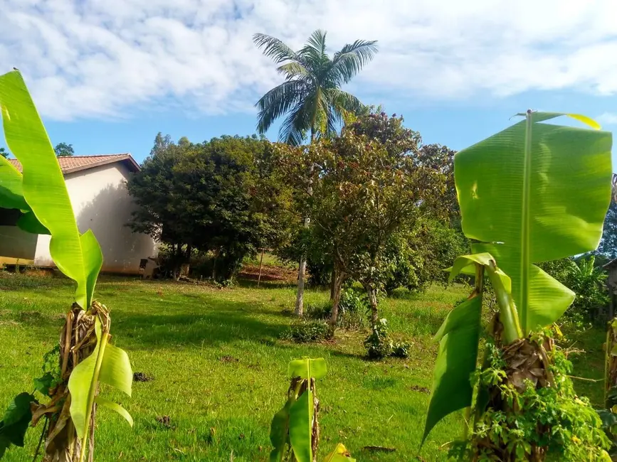 Chácara à venda, 4000m2 em Londrina - PR - imagem 6 Foto 6 de Chácara à venda, 4000m2 em Londrina - PR