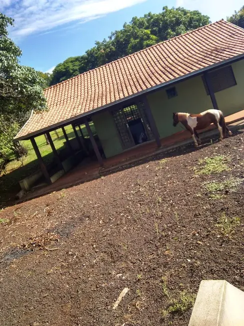 Chácara à venda, 4000m2 em Londrina - PR - imagem 3 Foto 3 de Chácara à venda, 4000m2 em Londrina - PR