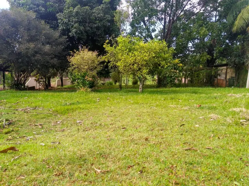 Chácara à venda, 4000m2 em Londrina - PR - imagem 9 Foto 9 de Chácara à venda, 4000m2 em Londrina - PR